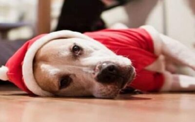 Mélancolie de Noël