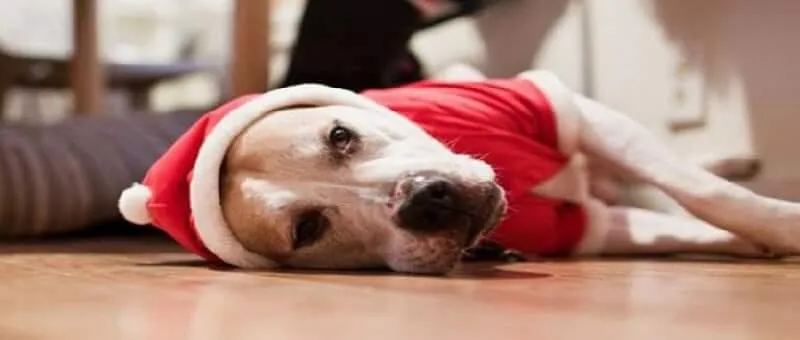 Mélancolie de Noël